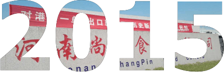 发展历程