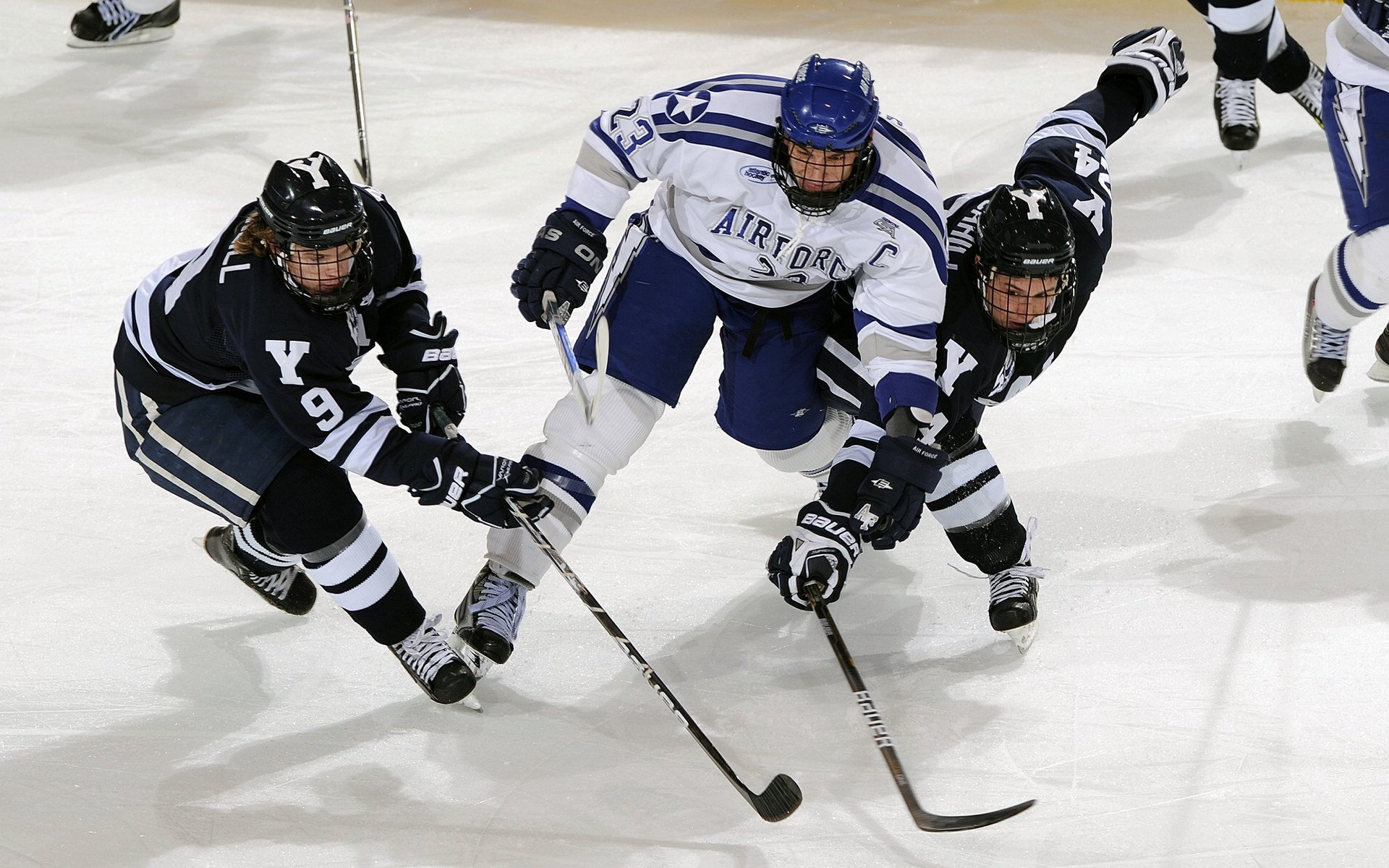 开云体育网页入口-英格兰反曲弓队在2024年英国田野锦标赛中获胜，反曲弓比赛